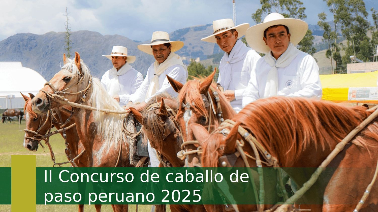 II Concurso de caballo de paso peruano 2025