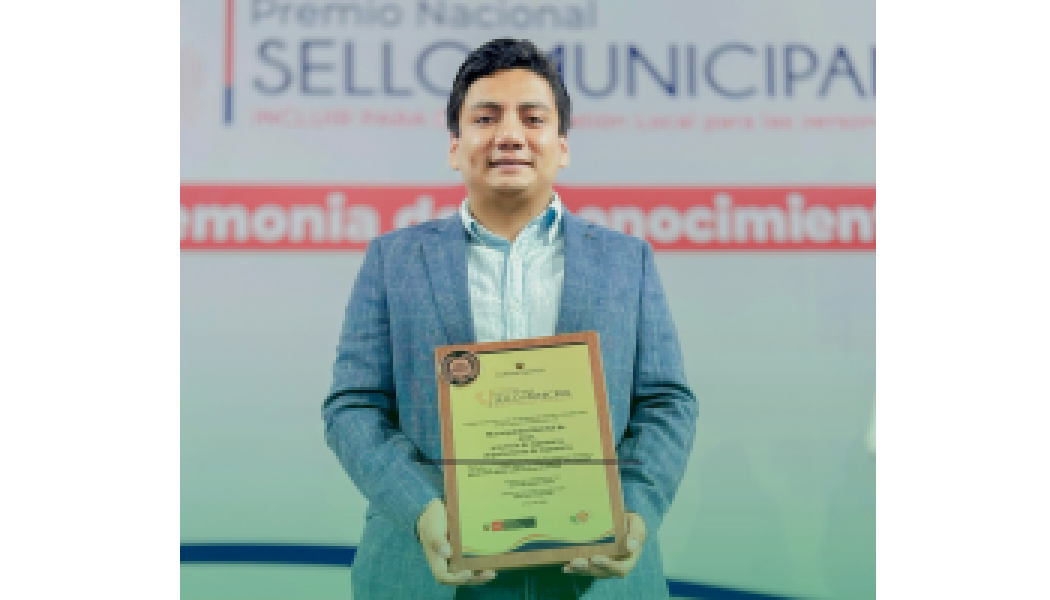Sello Municipal, Insignia de Bronce