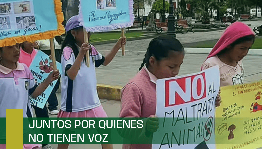 Juntos por quienes NO tienen Voz